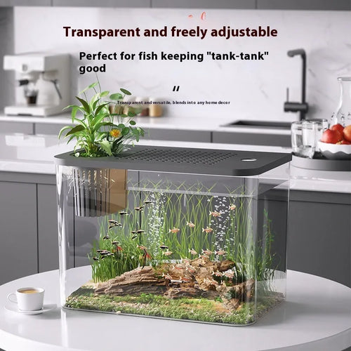 Plastic betta fish tank with cover in black or white colour, 32cm long medium size aquarium
