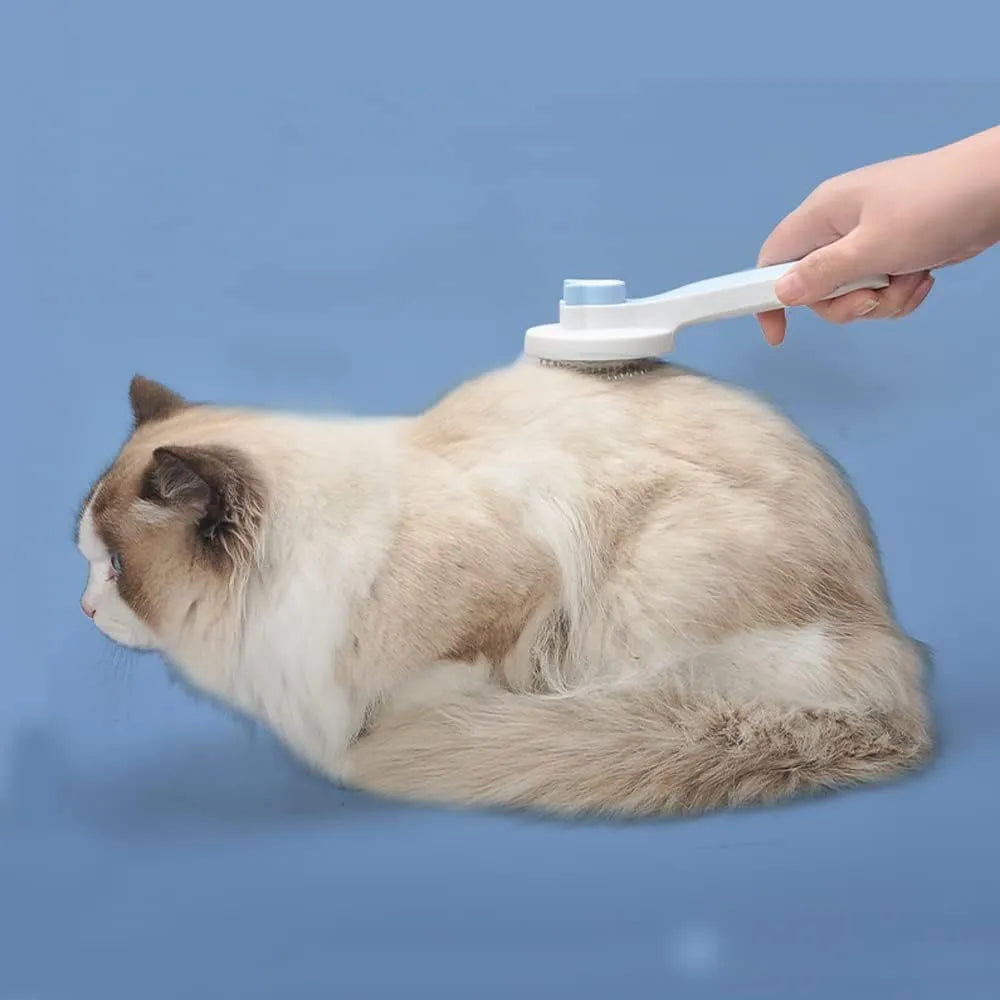 Blue self-cleaning cat brush with a rubber handle and round-tipped metal pins.