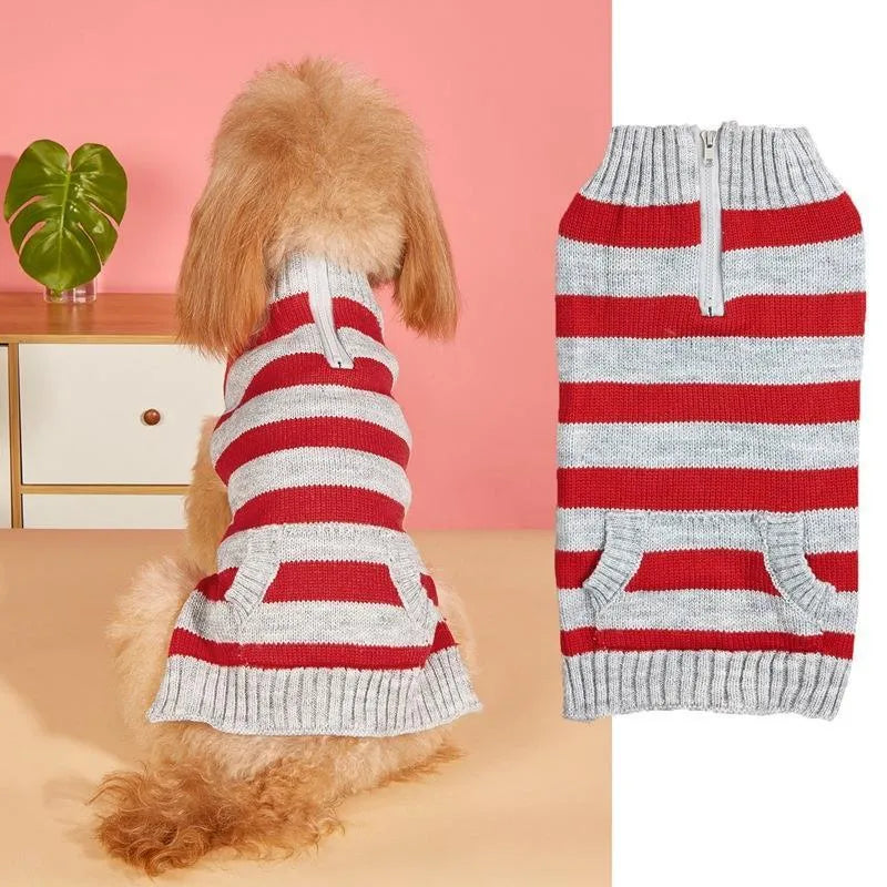 Grey dog sweater with blue horizontal zipper and button pocket on a small dog.
