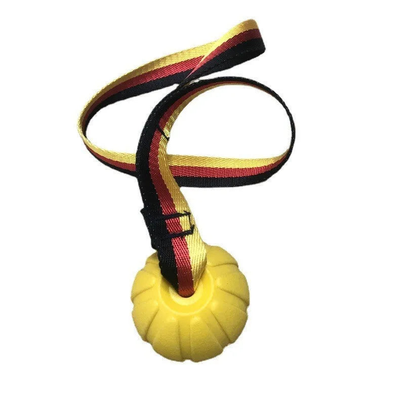 Camouflage and yellow floating EVA dog balls with tether strings in three different sizes on blue background.