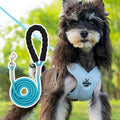Blue polyester pet vest harness with attached hand holding rope for dog control.
