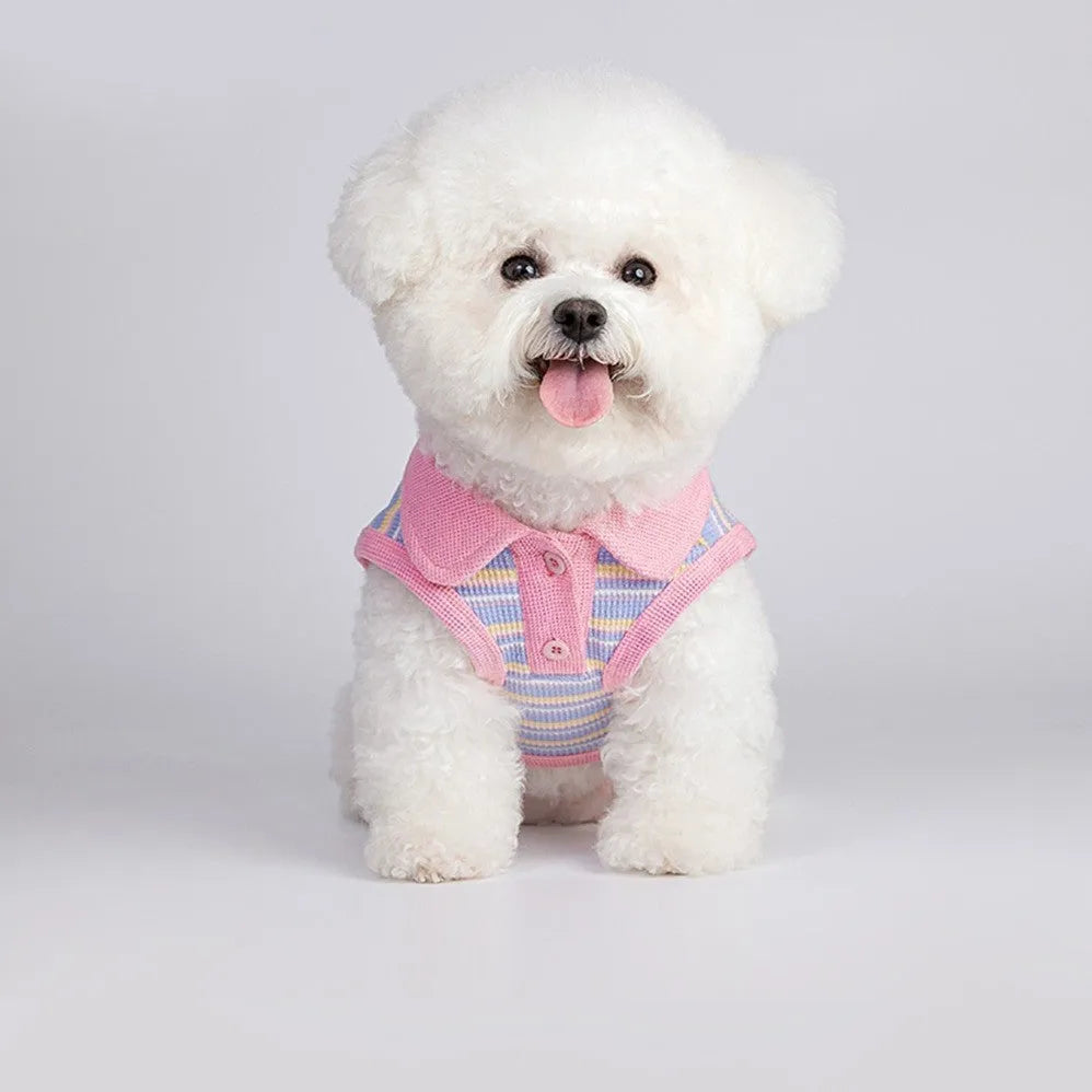 Pink purple vest for a small dog on a mannequin, showing the front design.