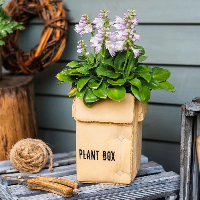 Cement brown paper box style flowerpot with bottom drainage hole for indoor balcony gardening