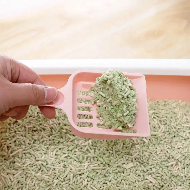 Plastic cat litter scoop in blue, green, or pink colour, showing 20cm length