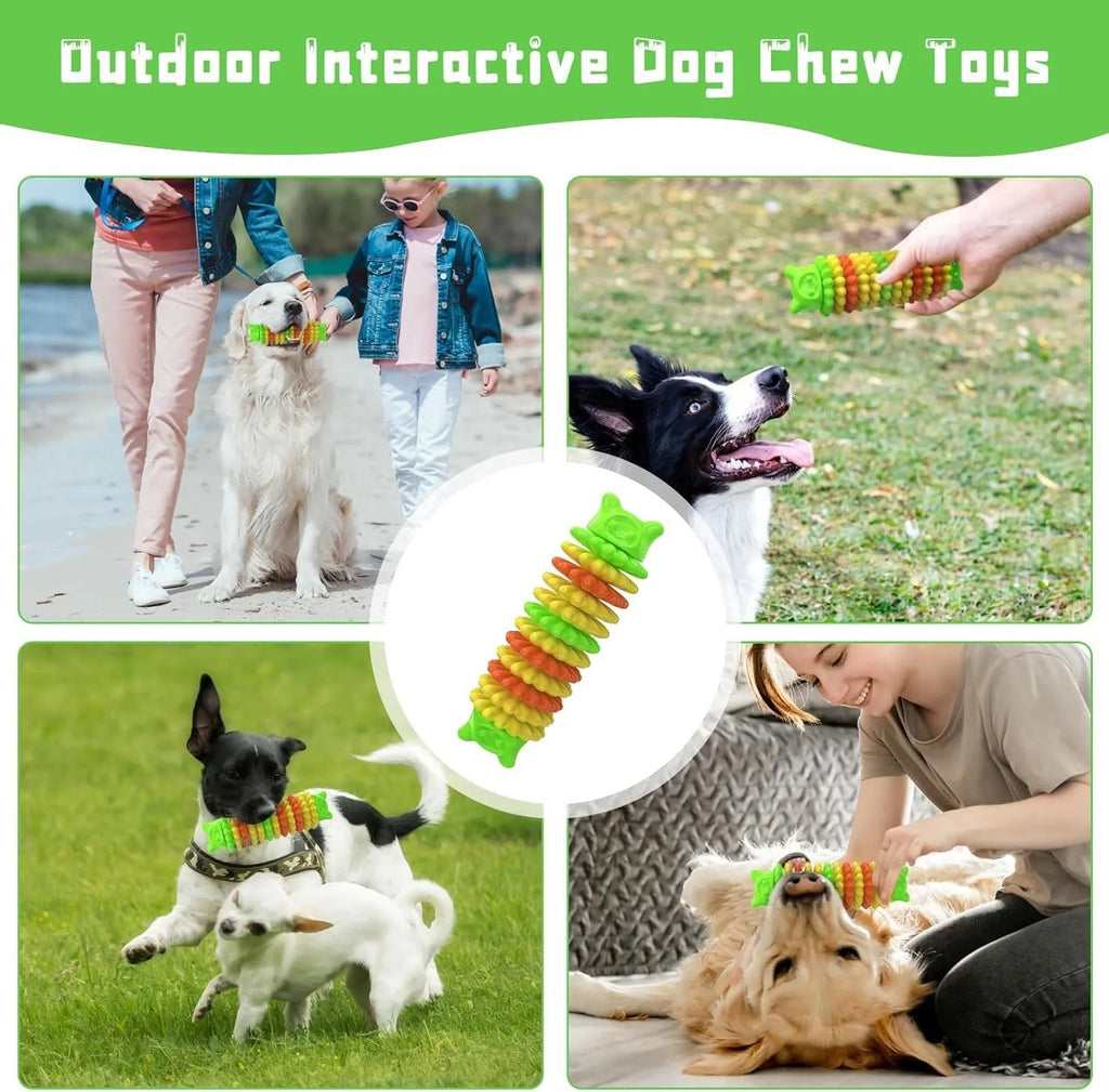 Blue, green, and pink caterpillar-shaped natural rubber dog chew toy on a white background.