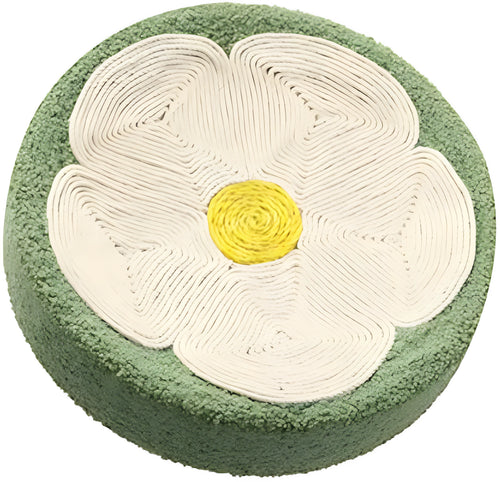 Green round sisal cat scratcher bowl lounge bed for kittens on a floor.