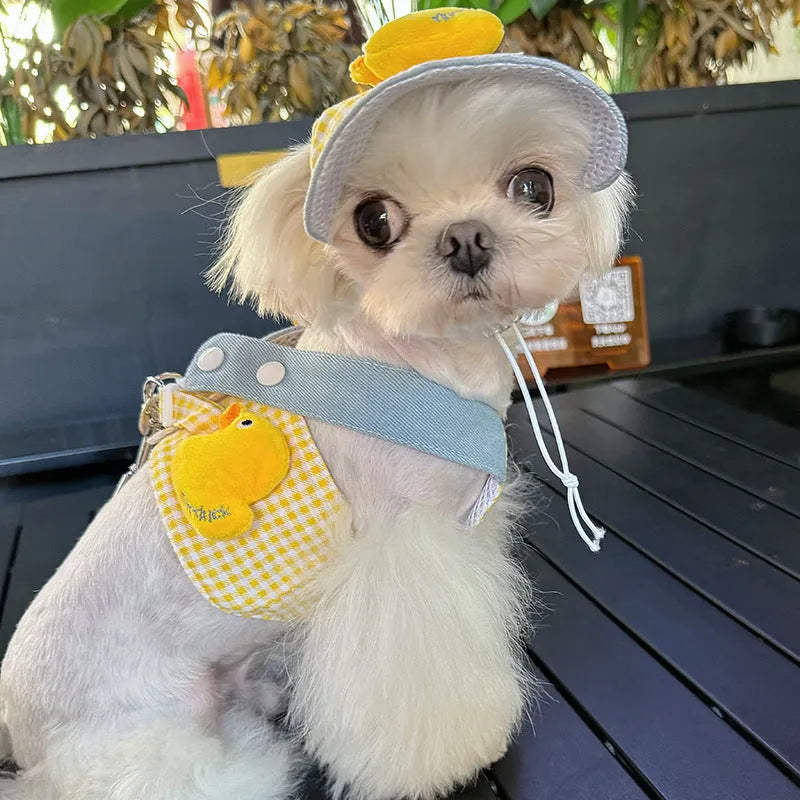 Three piece pet set with wire rope leash harness and cute hat for cats and dogs
