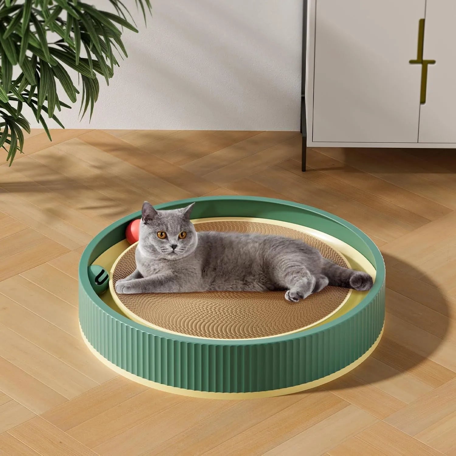 Large circular cat scratching board with bell toys and replaceable cardboard core