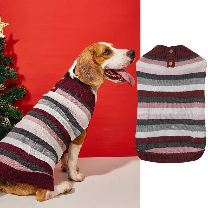 Grey dog sweater with blue horizontal zipper and button pocket on a small dog.