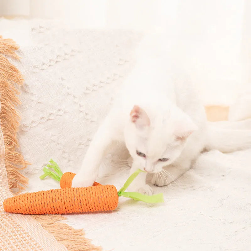 Cat toys with paper carrot shapes containing ringing stones for dental care and interactive play