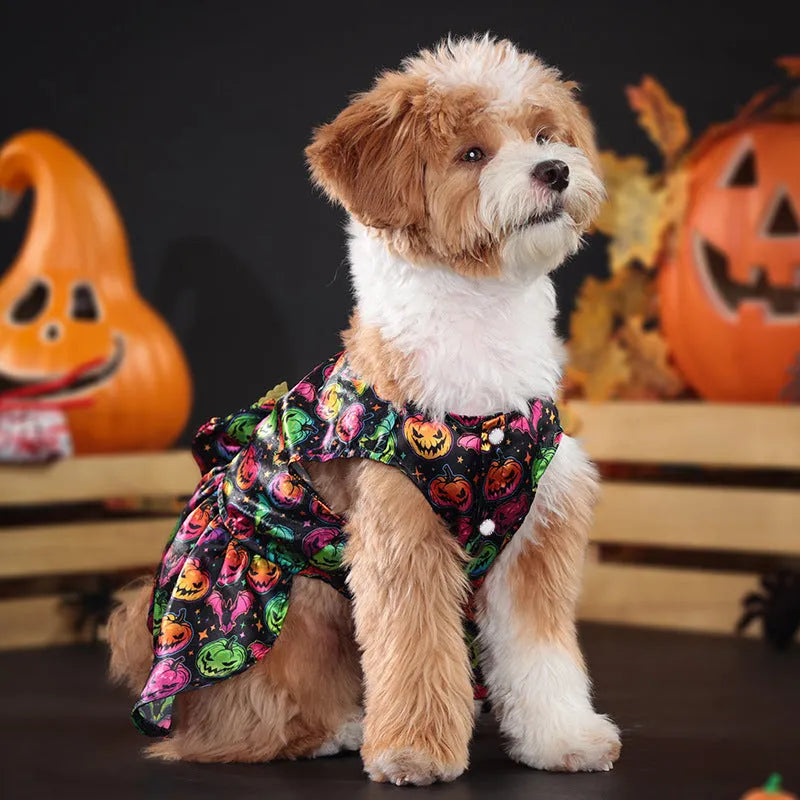 Angel wings Halloween dog costume in bright pumpkin colour on pet