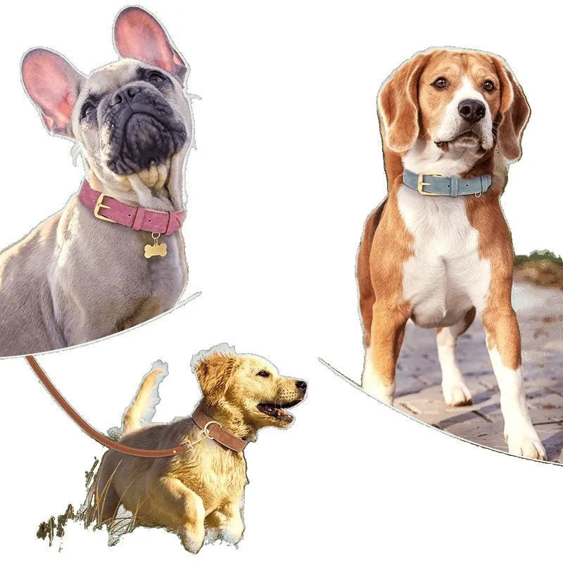 Leather dog collar with mohair lining in rose red, brown or blue with matching traction rope