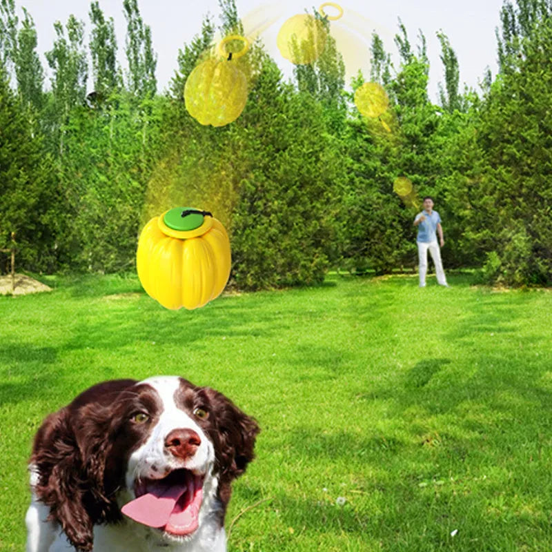Orange plastic squeaky dog ball with Halloween pumpkin design for small breed chewing and training