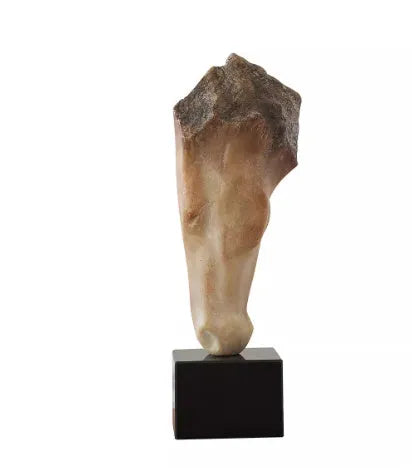 French retro style abstract horse head desktop sculpture with carved finish, 50cm tall.