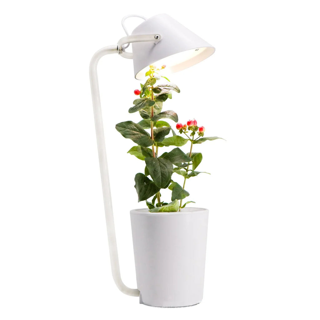 White plastic desktop hydroponic container for soilless plant cultivation