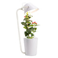 White plastic desktop hydroponic container for soilless plant cultivation