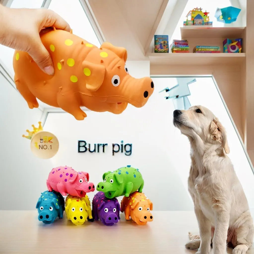 Blue latex pig-shaped dog chew toy with textured surface and squeaker inside.
