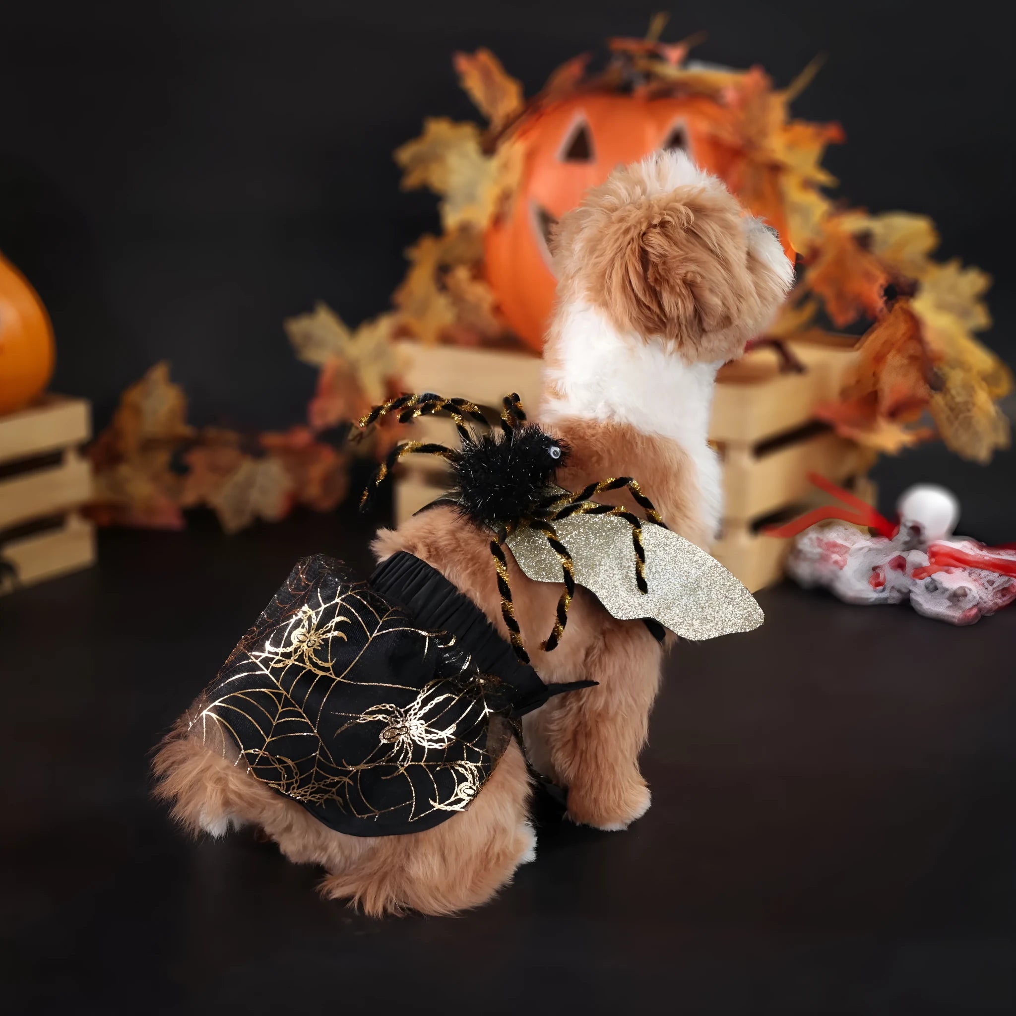 Polyester dog Halloween costume suit shown in pet clothing sizes S, M, L, and XL