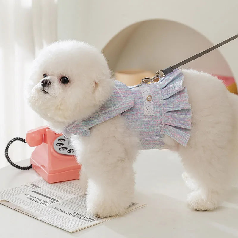 Small dog or cat wearing purple polyester pet clothing, showing the garment's fit and style.