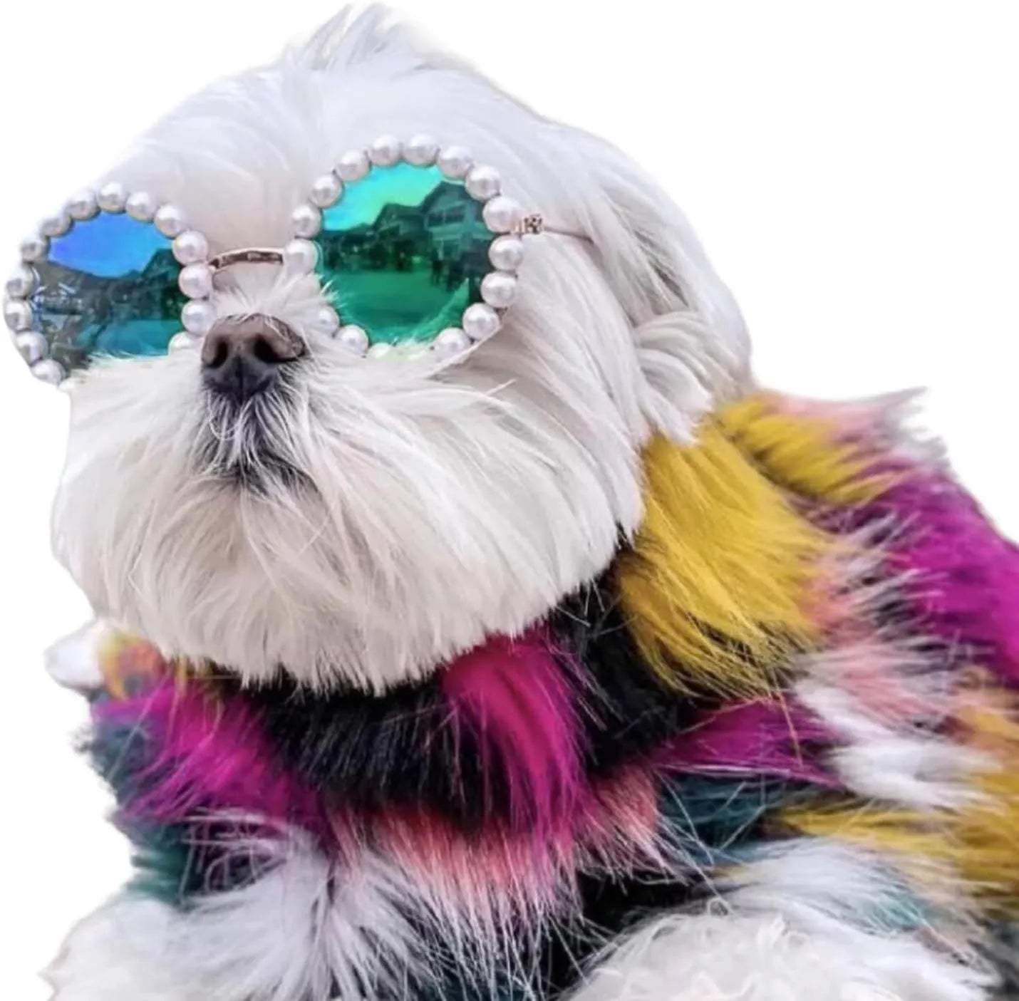 Pearl-rimmed round sunglasses for a cat or dog on a festive background.