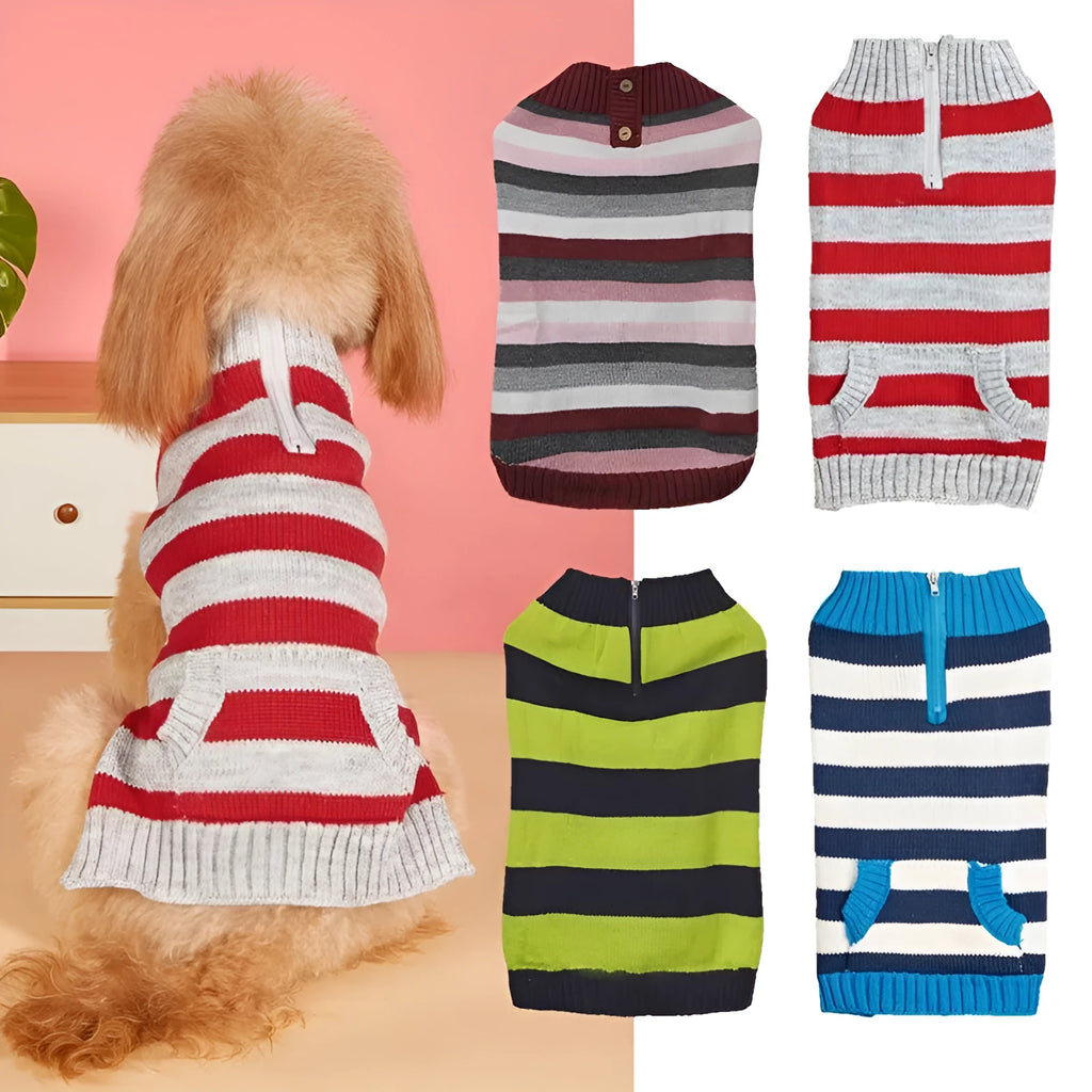 Grey dog sweater with blue horizontal zipper and button pocket on a small dog.