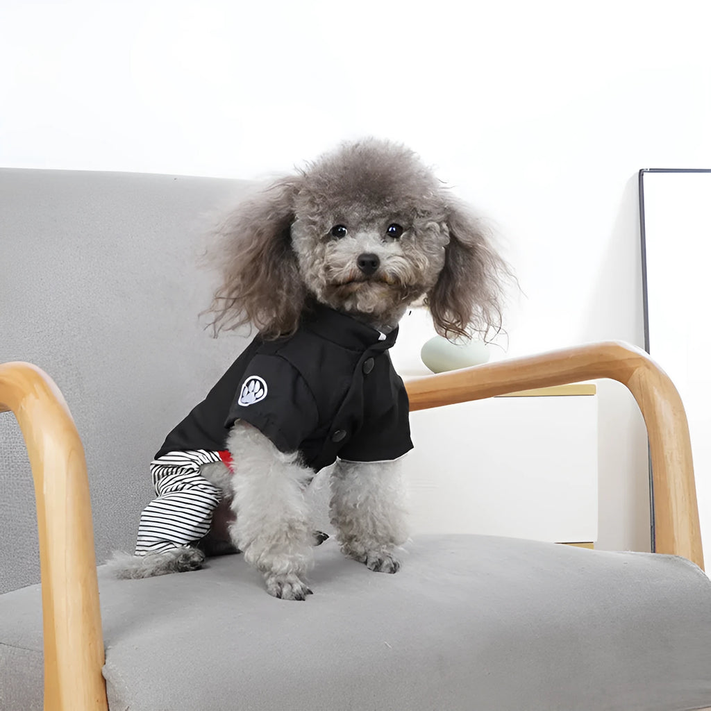 Cotton poodle dog clothing in skirt and four-foot pants styles for seasonal wear