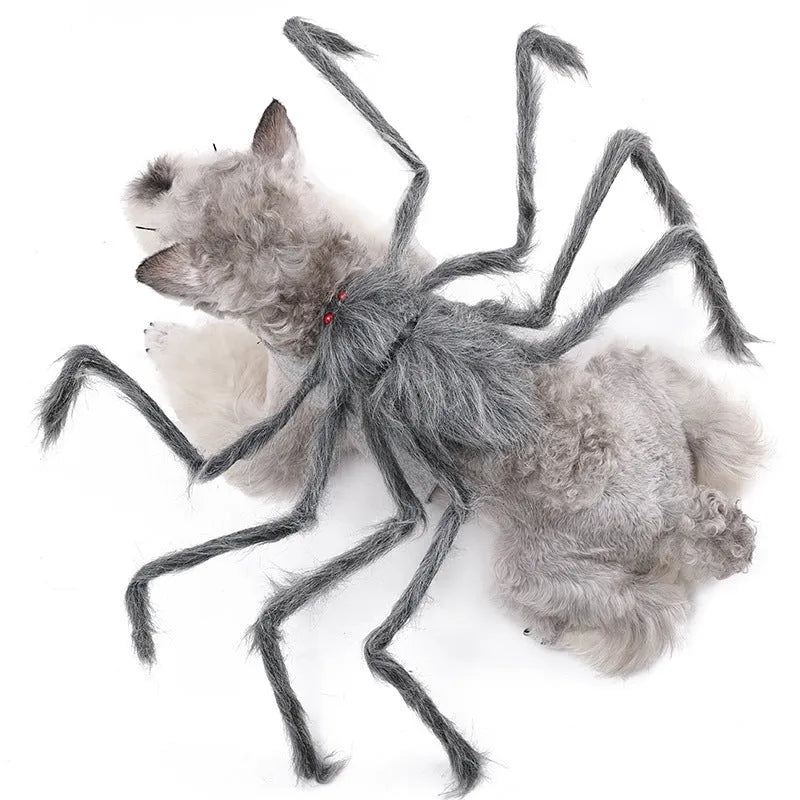 Halloween spider costume for pets in polyester with S M L sizes