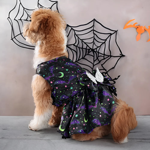 Angel wings Halloween dog costume in bright pumpkin colour on pet