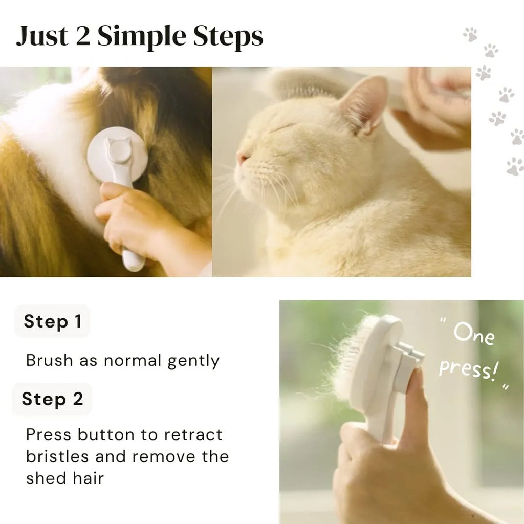 Blue self-cleaning pet grooming brush with ergonomic rubber handle on a white background