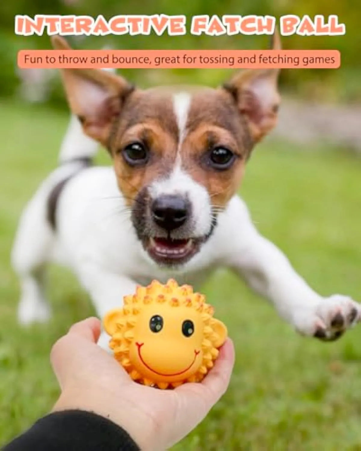 Orange and yellow latex squeaky dog toy with spiky texture for teeth cleaning, shown next to a measuring tape indicating 3-inch diameter.
