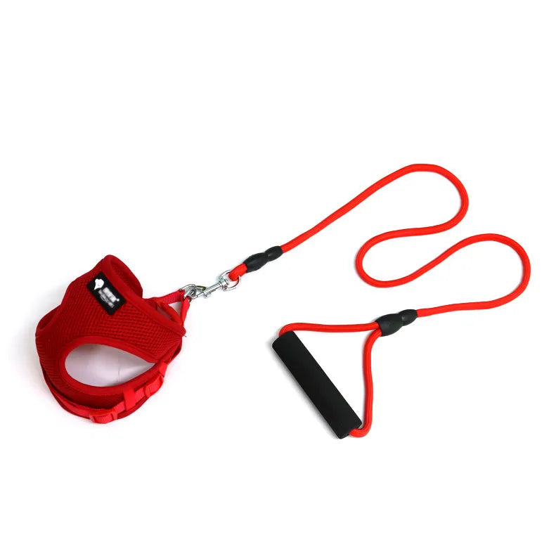 Blue dog leash with foam handle and matching adjustable collar for small dogs.