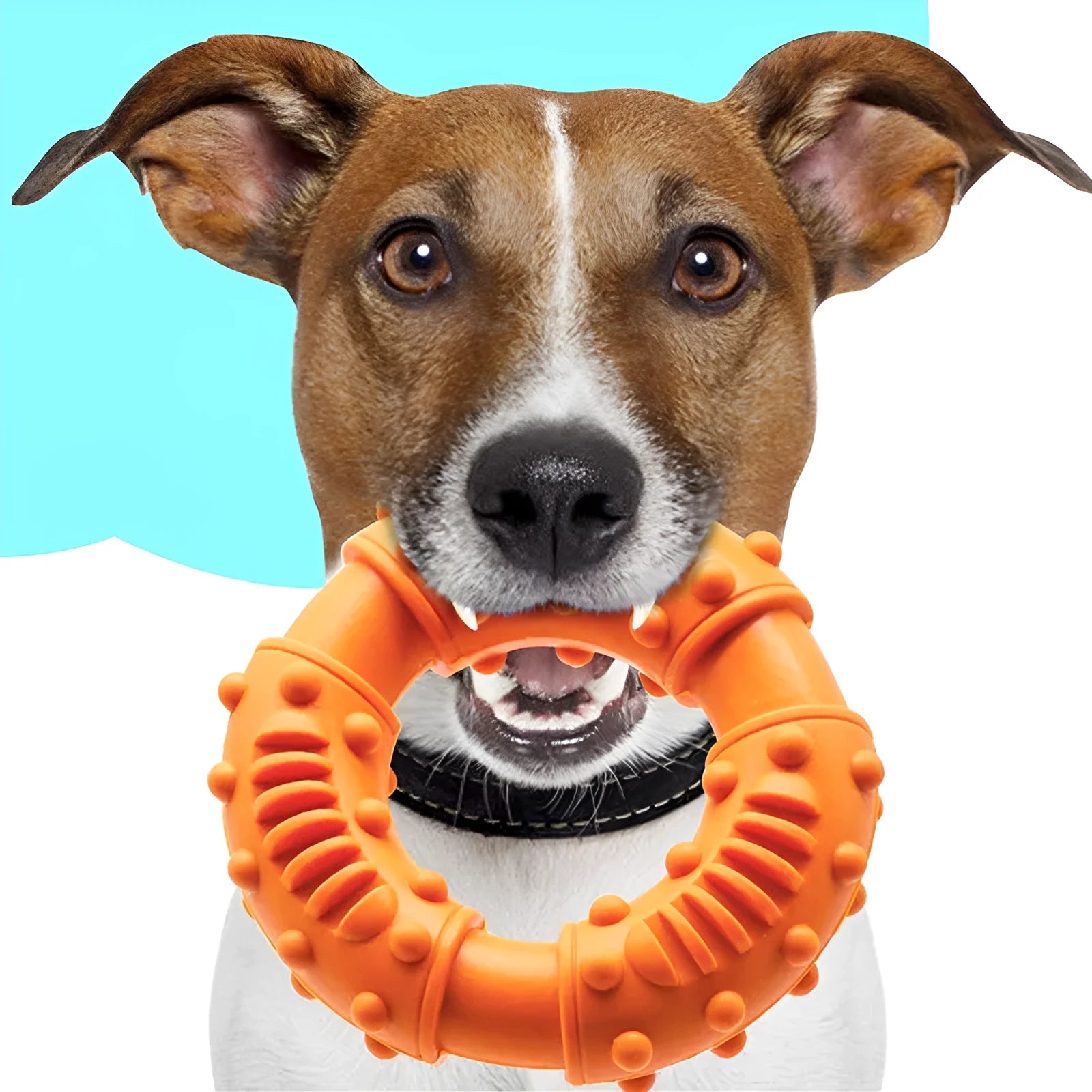 Blue durable plastic dog fetching stick toy with hollow centre for chewing and floating.