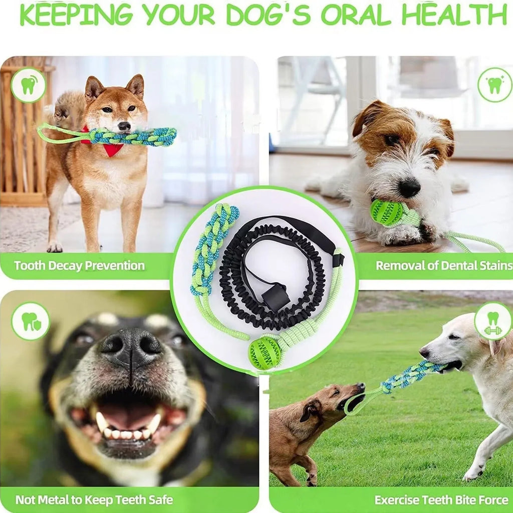 Green cotton rope dog tug toy with corncob design for interactive pull and chew play