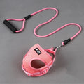 Blue dog leash with foam handle and matching adjustable collar for small dogs.