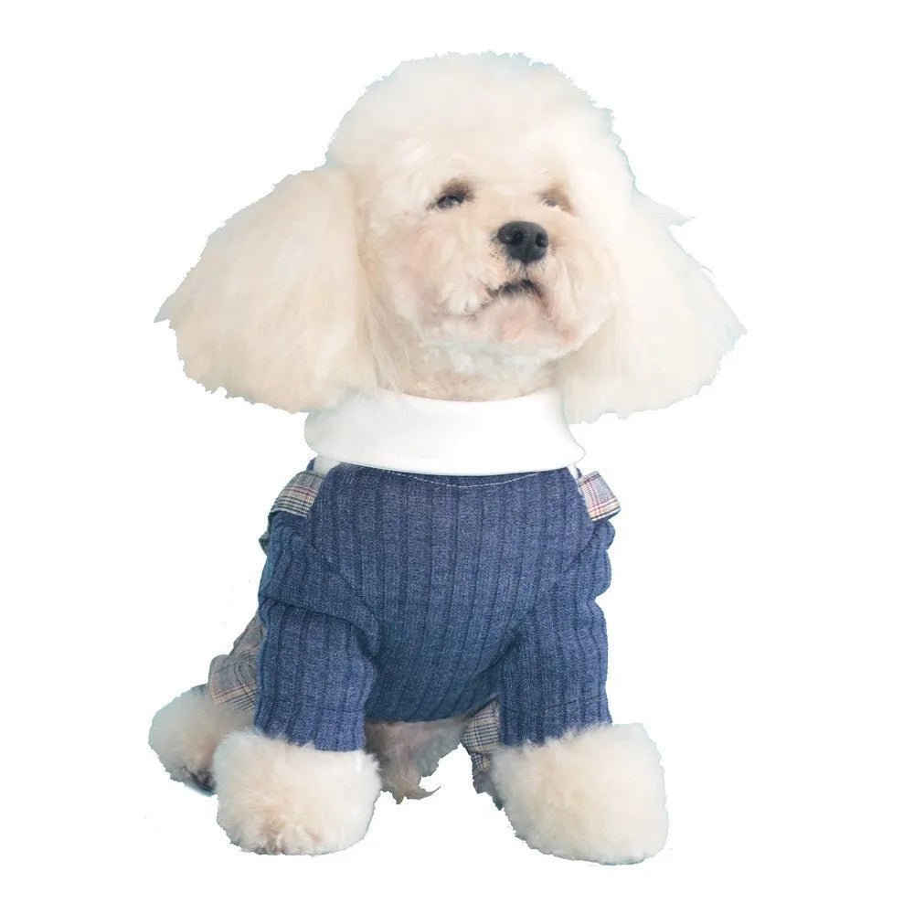 Orange and dark blue cotton dog suit shirt for small breeds in five sizes