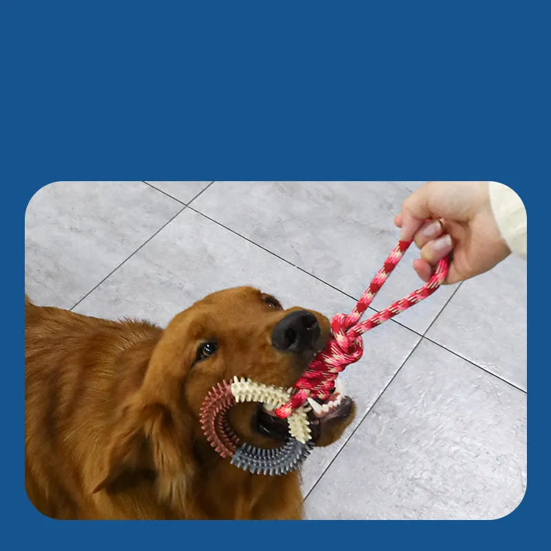 Braided rope dog tug toy measuring 43 cm long in blue colour with knotted design