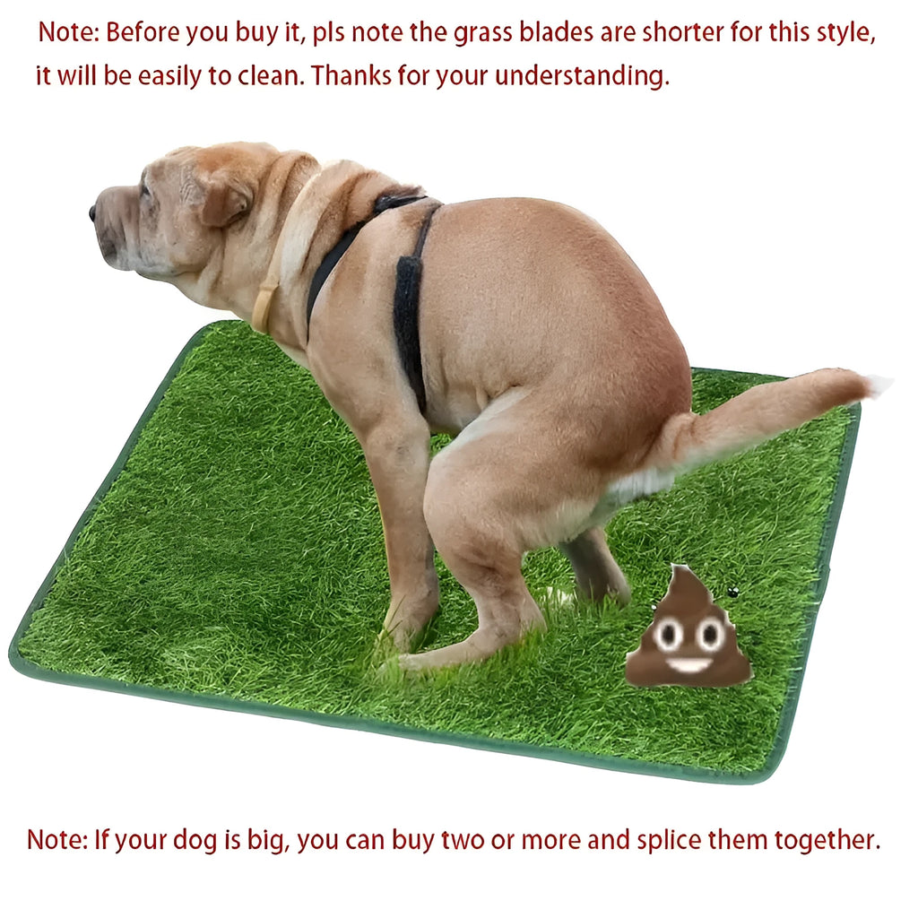 Artificial grass dog toilet training mat on floor with three size options shown