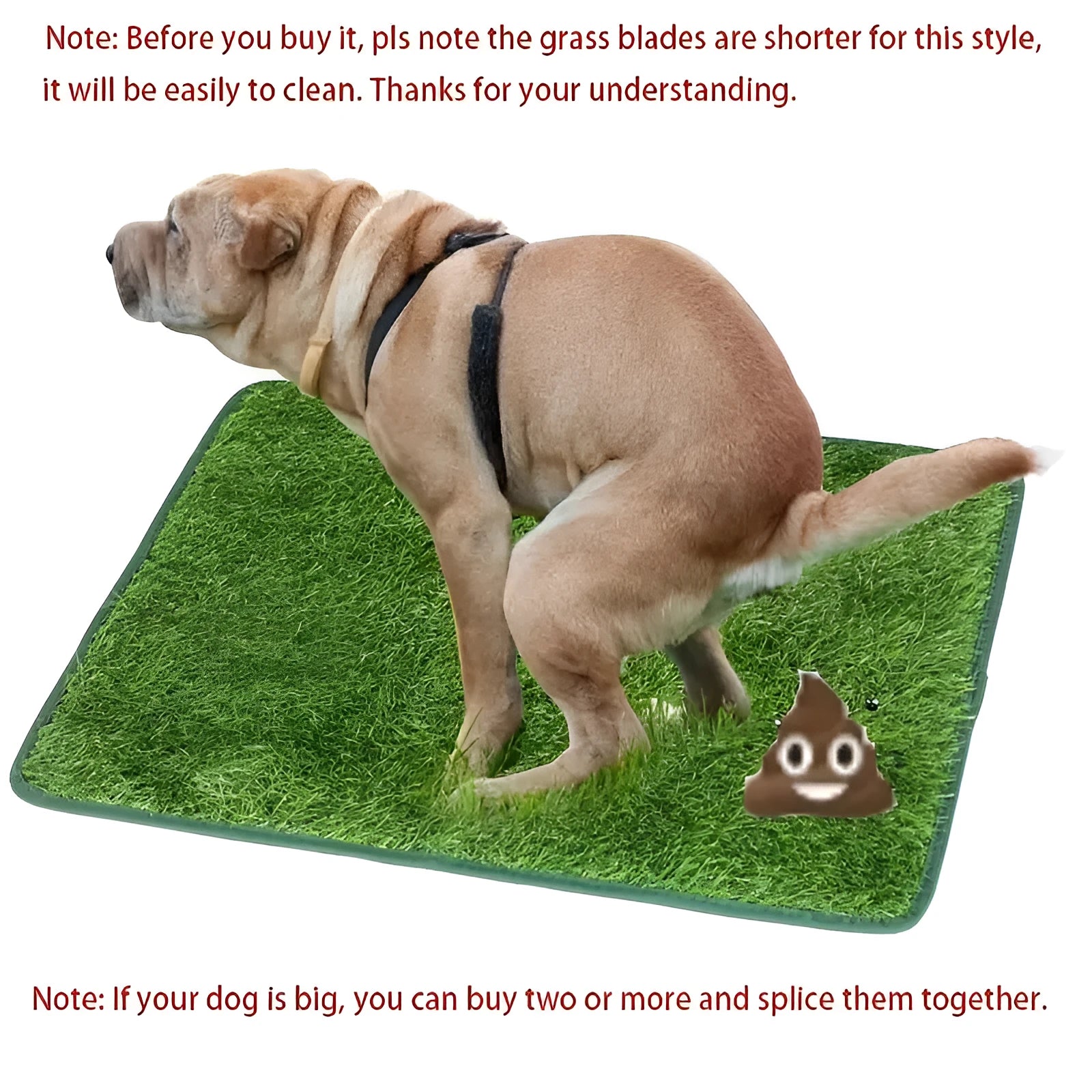 Artificial grass dog toilet training mat on floor with three size options shown