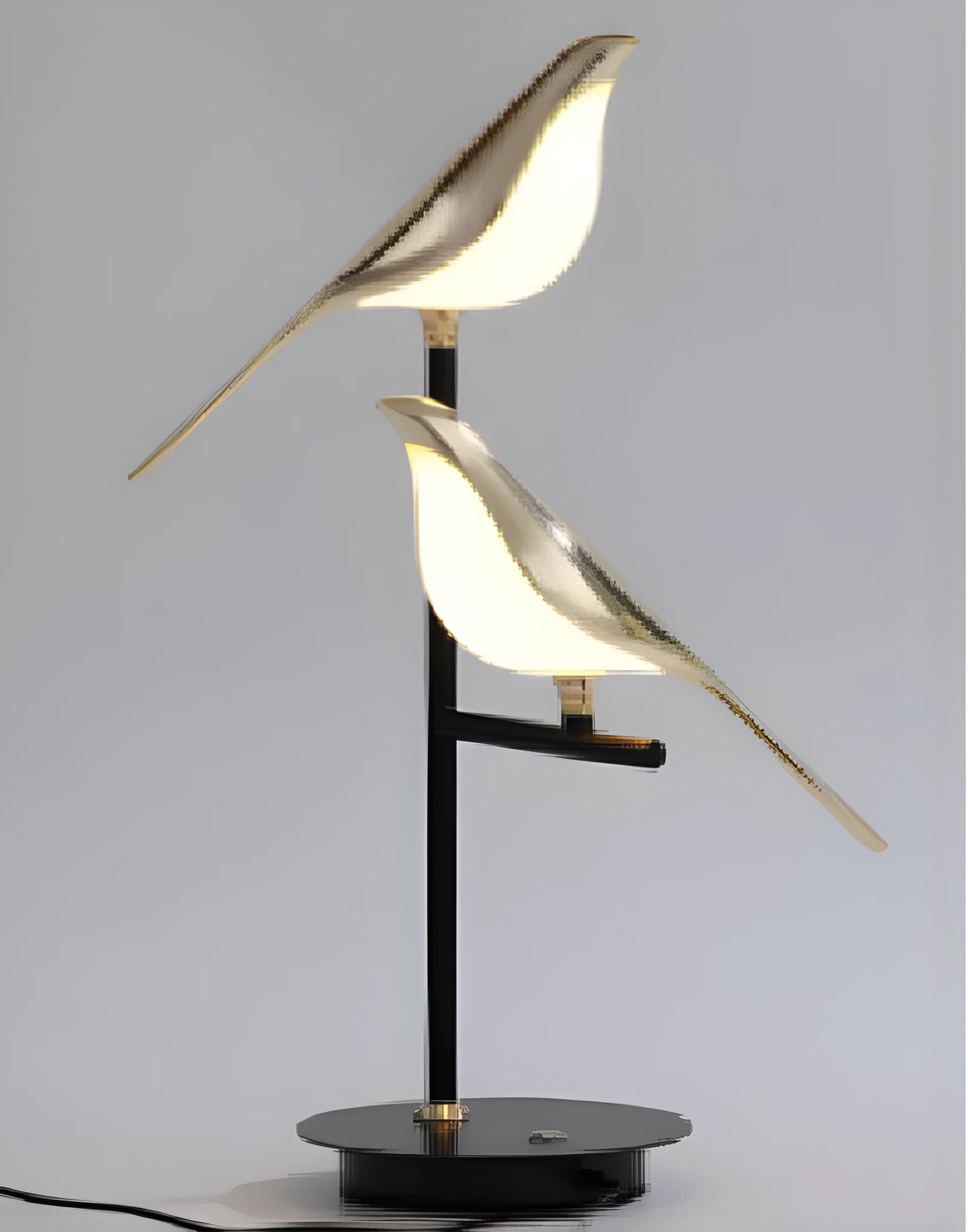 Modern simple iron chandelier hall lamp with aluminium alloy body and adjustable height.