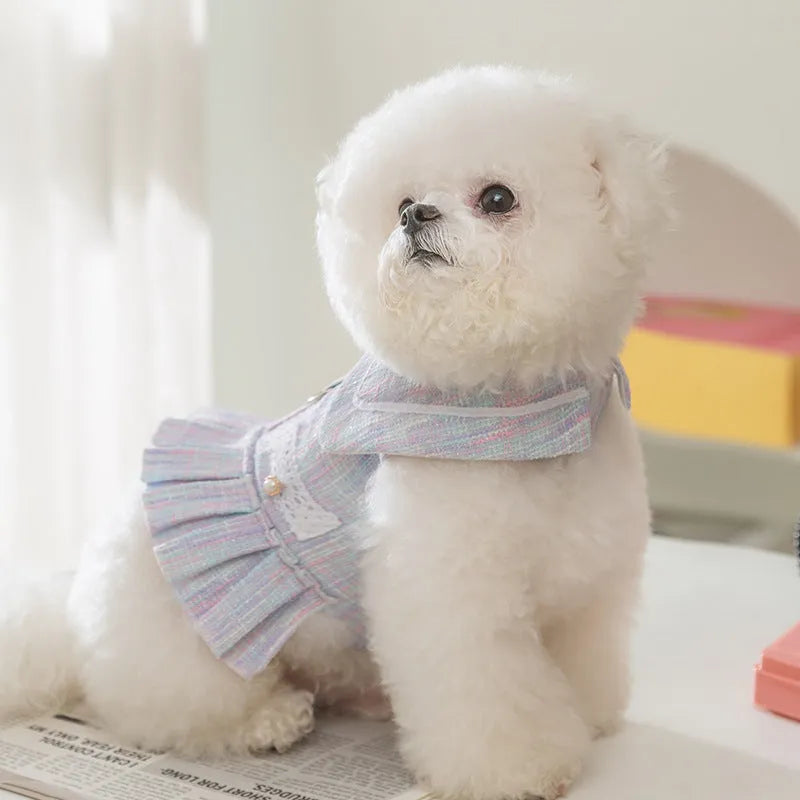 Small dog or cat wearing purple polyester pet clothing, showing the garment's fit and style.