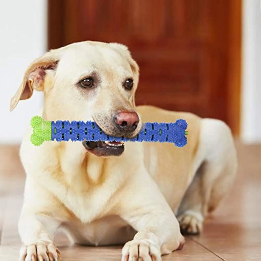 Blue green dog molar cleaning stick with serrated brush head design for dental care