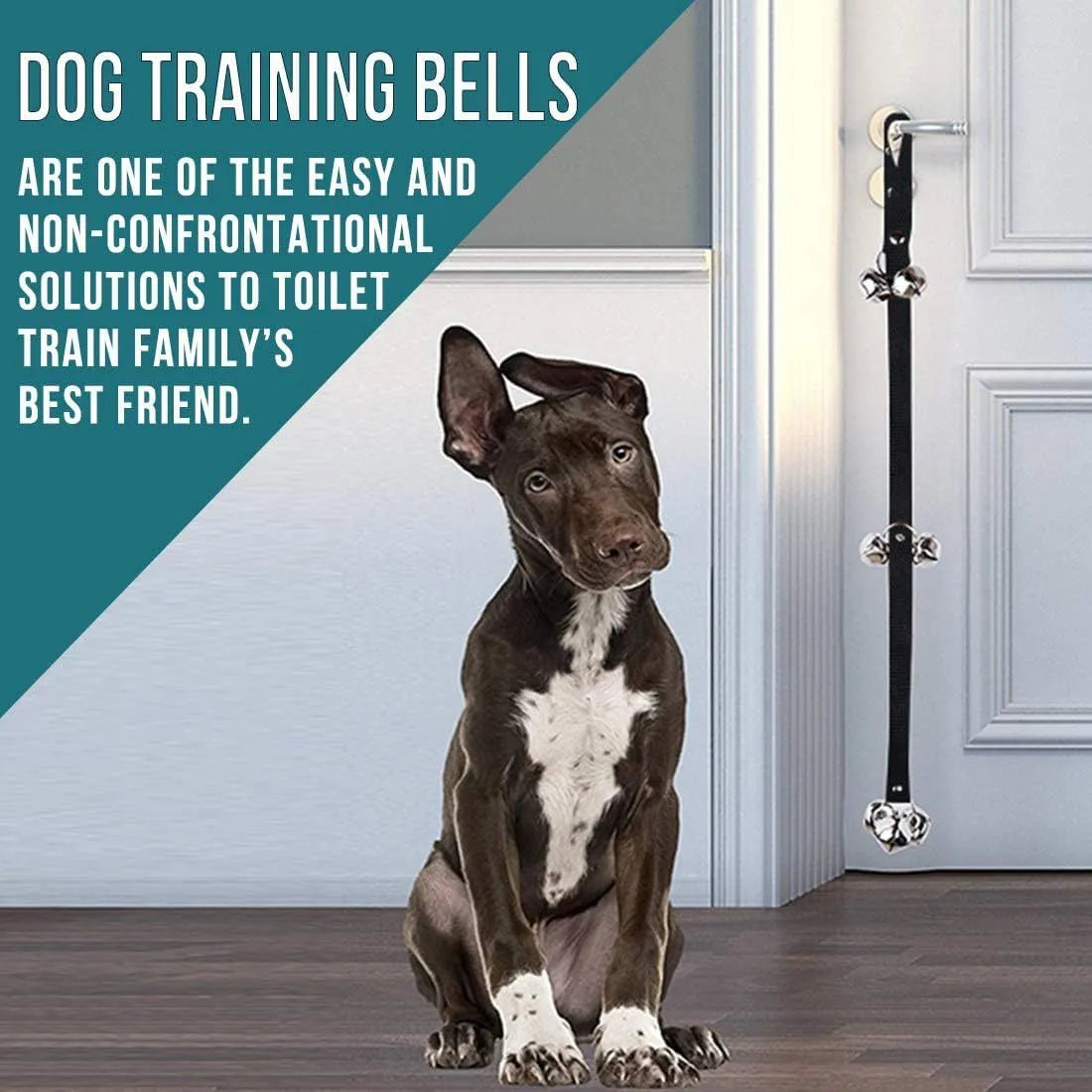 Adjustable dog training doorbell with seven silver metal bells on a heavy-duty nylon strap