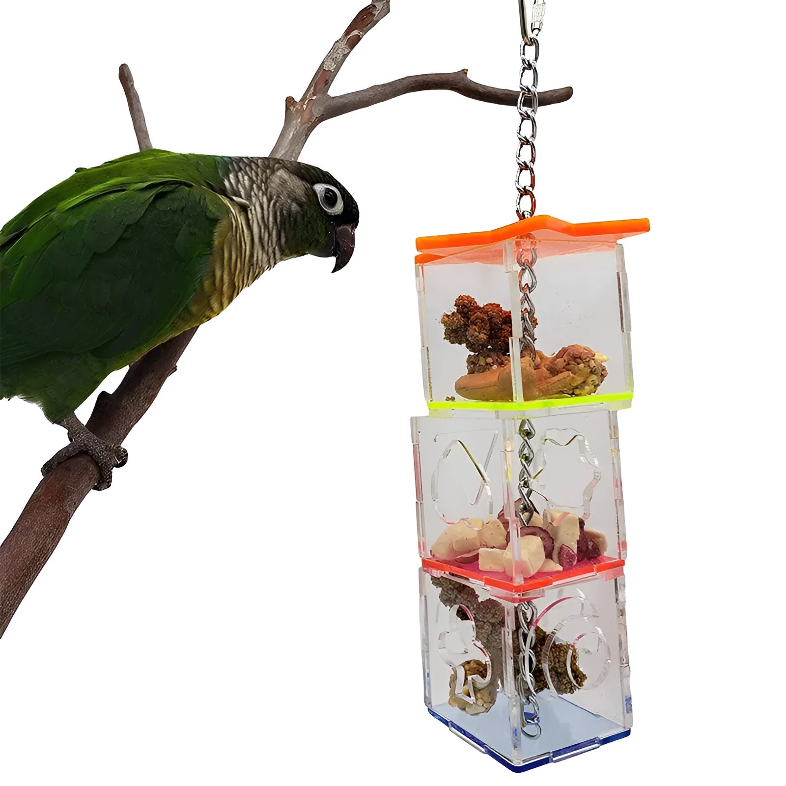 Clear acrylic parrot foraging toy measuring 5x5x32cm for bird enrichment with food container