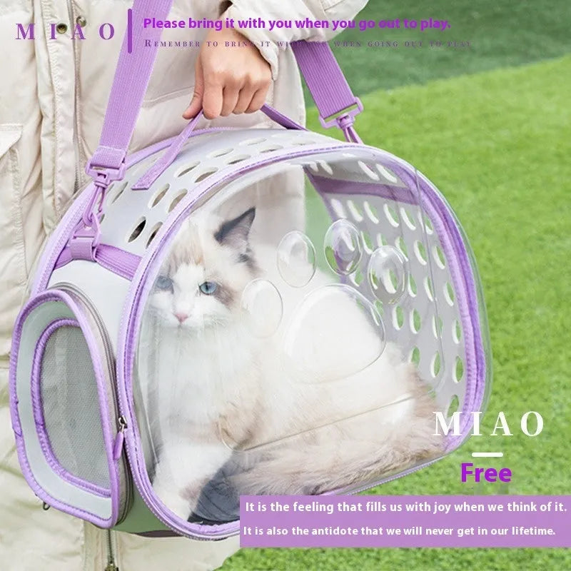 Transparent hard-shell cat backpack carrier showing interior space with colour options