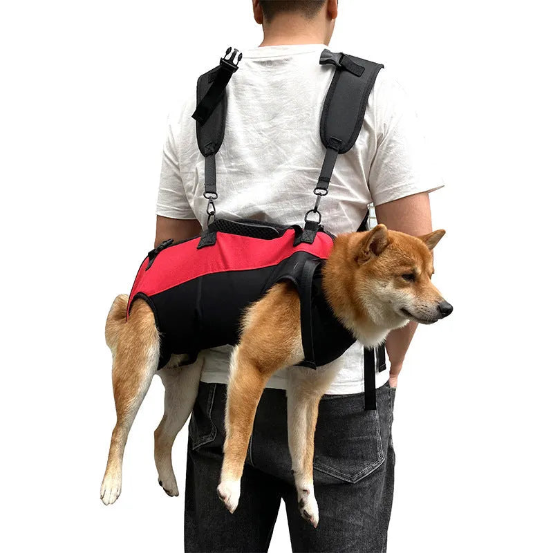 Multifunctional Oxford cloth pet backpack for dogs and cats in black with colour accents.