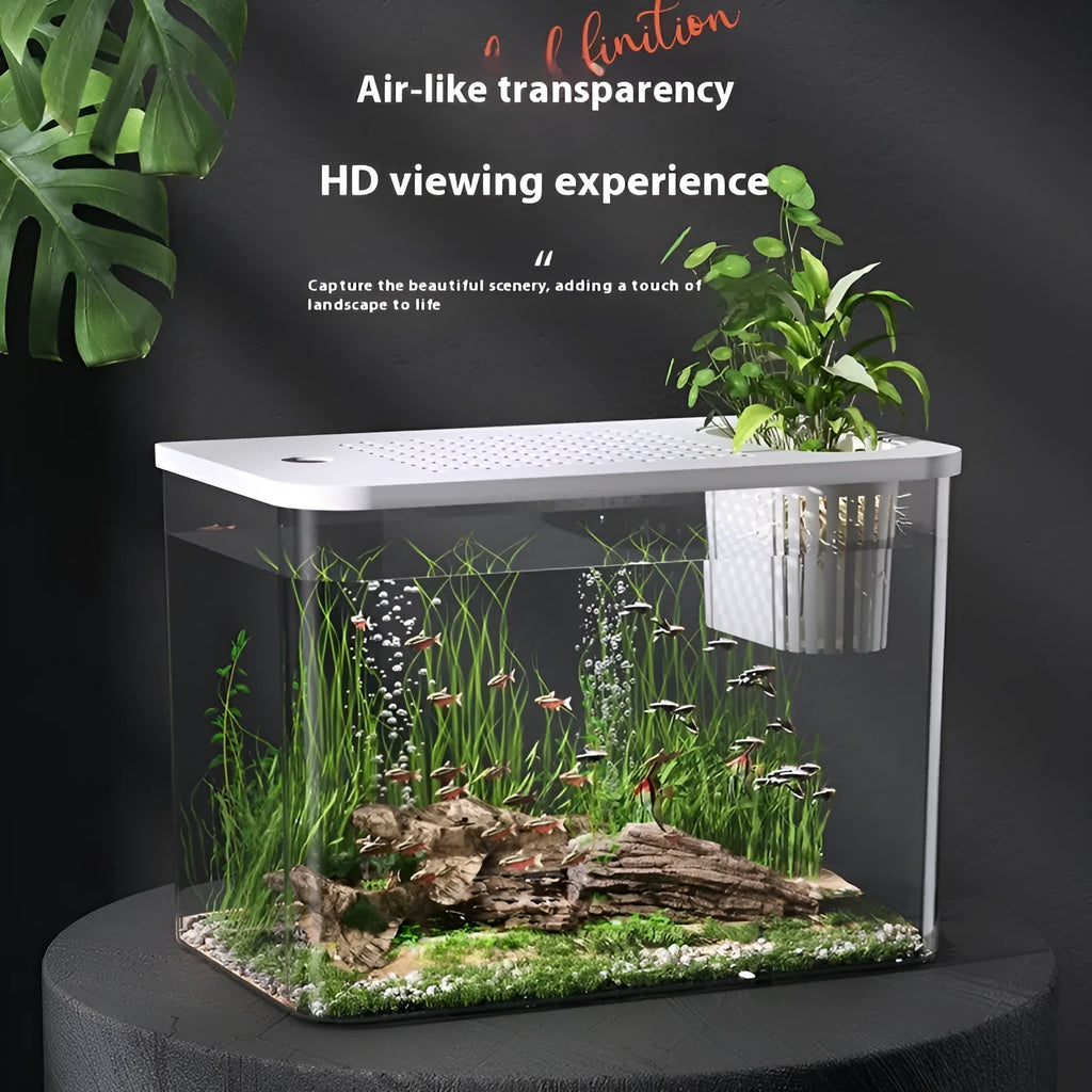 Plastic betta fish tank with cover in black or white colour, 32cm long medium size aquarium