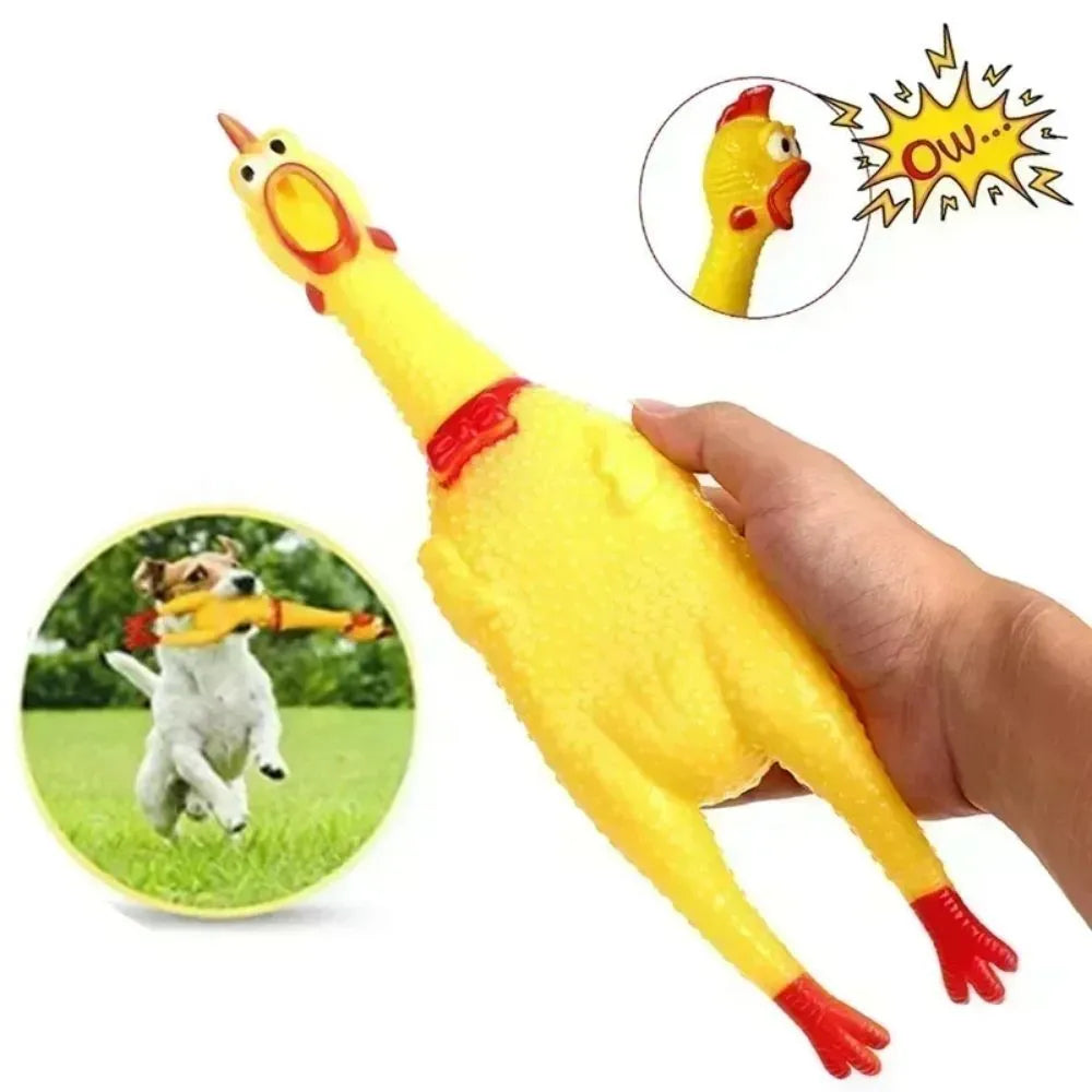 Yellow rubber squeaking chicken dog toy available in multiple sizes for pet chewing and play