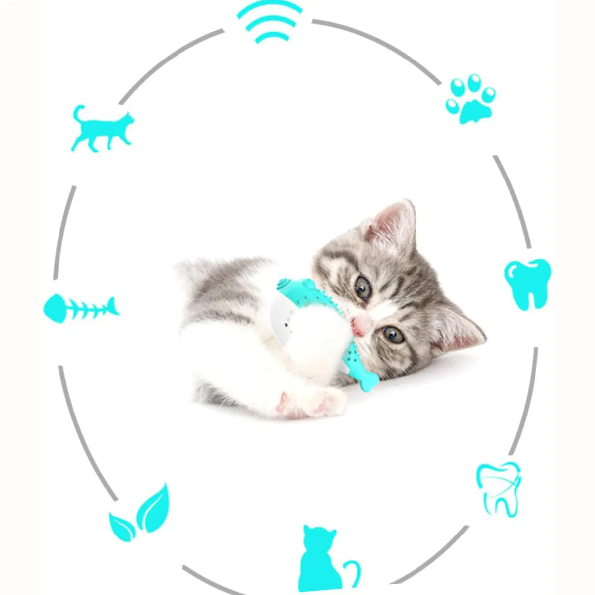 Mint Toys fish-shaped silicone cat chew toy with toothbrush feature in blue, green, pink, or yellow