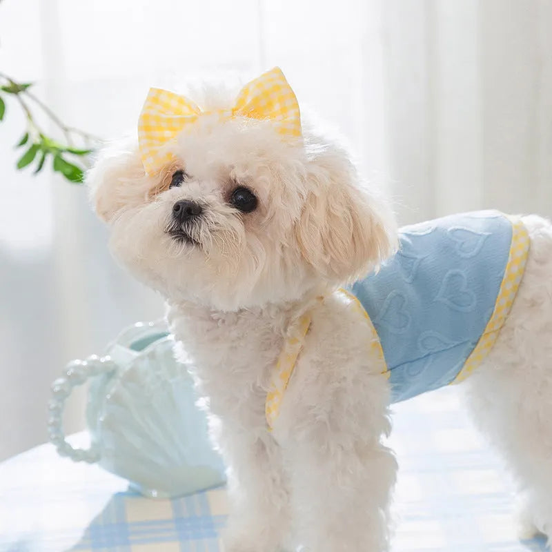 Small dog wearing heart texture elastic vest with bow suspenders in Bondi Blue colour