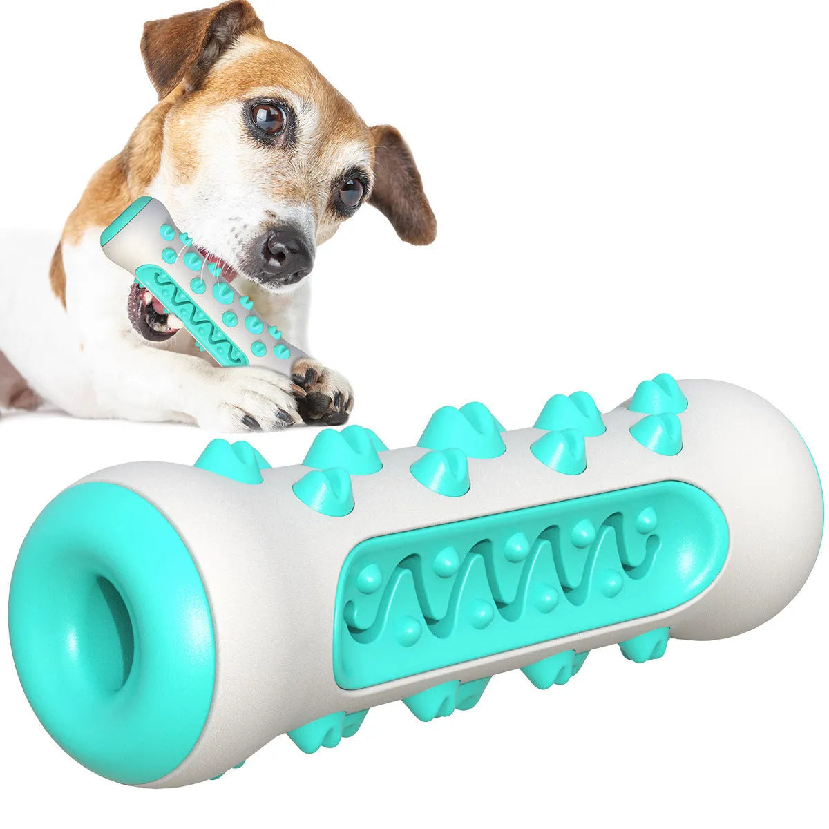 Natural rubber dog toothbrush chew toy in blue, shown next to a small dog for scale